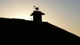 Belmont Shore Rooftop Sunset